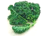 Curly kale greens used for making baked kale chips