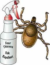 wood tick and spray bottle of insect repellent