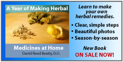 A Year of Making Herbal Medicines at home by David Reed Beatty