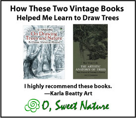 How these two vintage books helped me learn to draw trees.