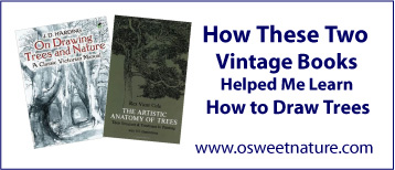 How these two vintage books helped me learn how  to draw trees.