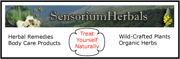Sensorium Herbals. Herbal remedies, body care products, wild-crafted plants, organic herbs. Advertisement.
