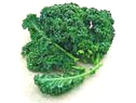 Green Kale Vegetable