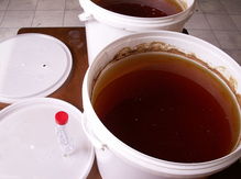 Five gallon buckets filled with compost tea.